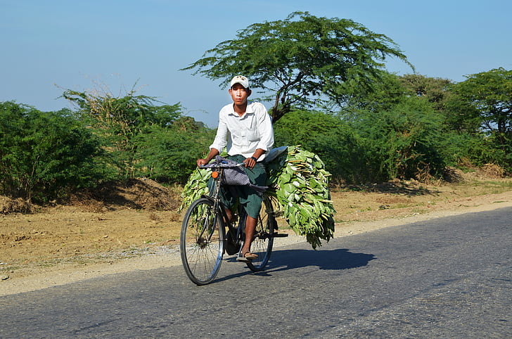 bicicleta, ciclistas, transporte, transporte de la bicicleta