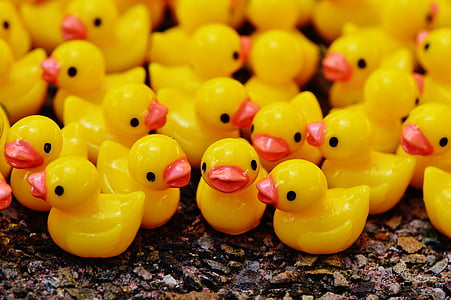 ducks, figures, group, cute, sweet, many