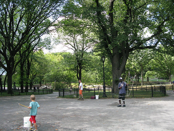 centrala, Park, konstnär, NYC, central park, new york, ny