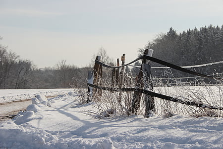 winter, snow, wintry, fence, away, forest, white