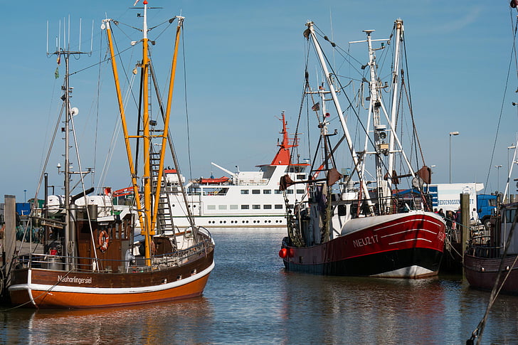 boats, port, ships, ferry, fishing boats, mast, mirroring