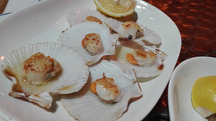 shells, scallops, seafood, galicia