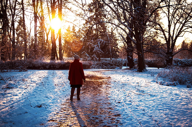 froide, aube, tombée de la nuit, nature, chemin d’accès, personne, neige