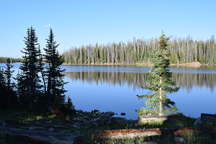 Lac miroir, scène de montagne, matin, paysage, nature sauvage, l’Amérique, Lakeshore