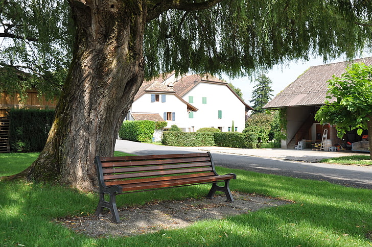 park bench, bench, seat, tree, laconnex, geneva, outdoors