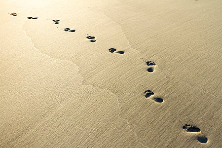 fotspår, grå, Sand, stranden, soluppgång, fotspår, vatten