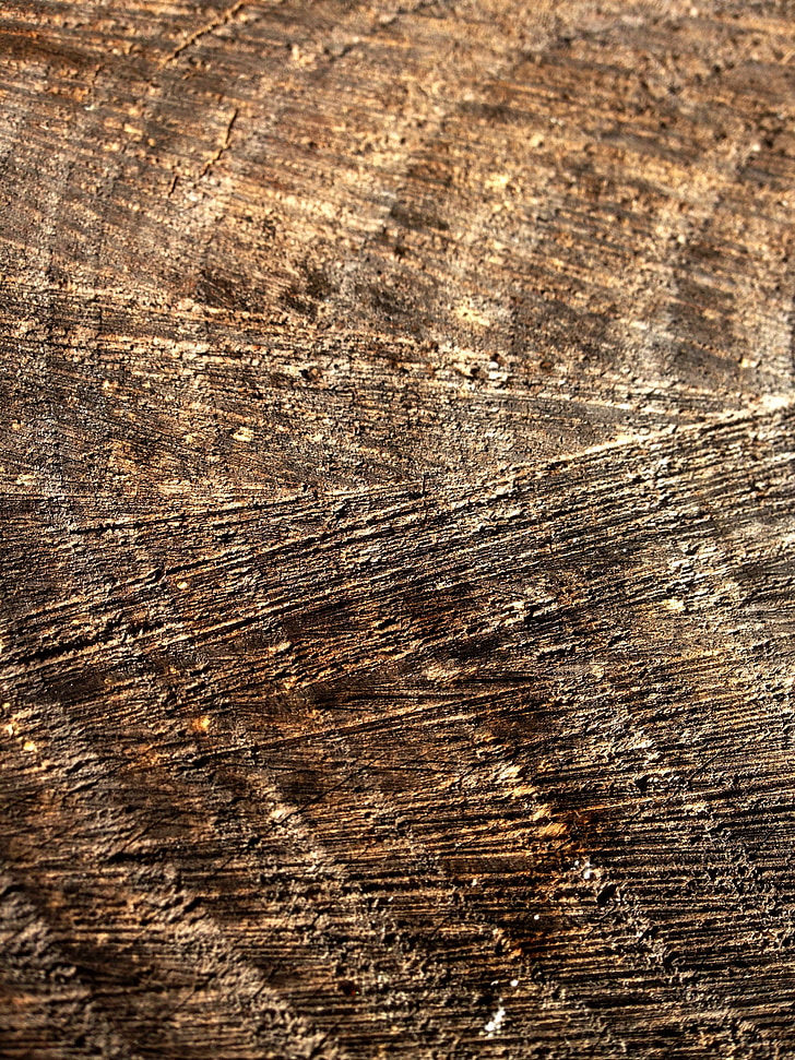 bois, vieux bois, tronc, texture, bois bande