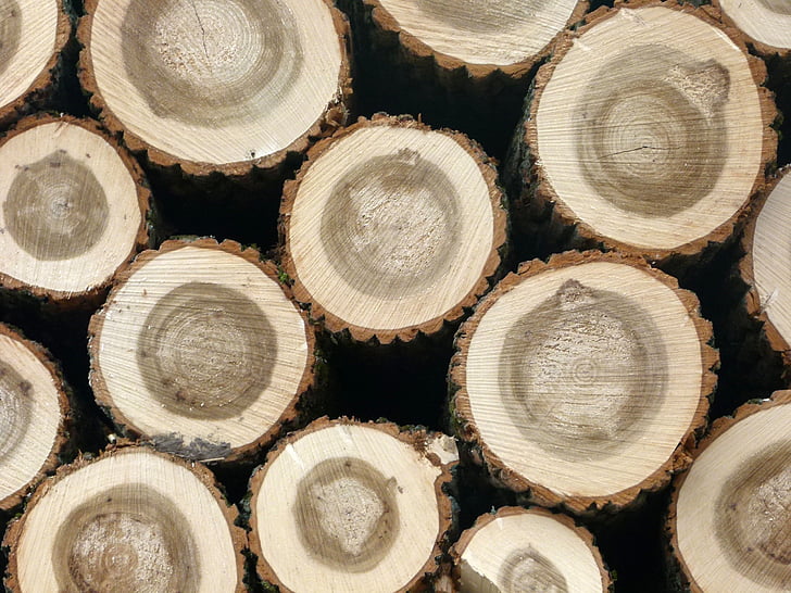 madeira, registro em log, holzstapel, madeira