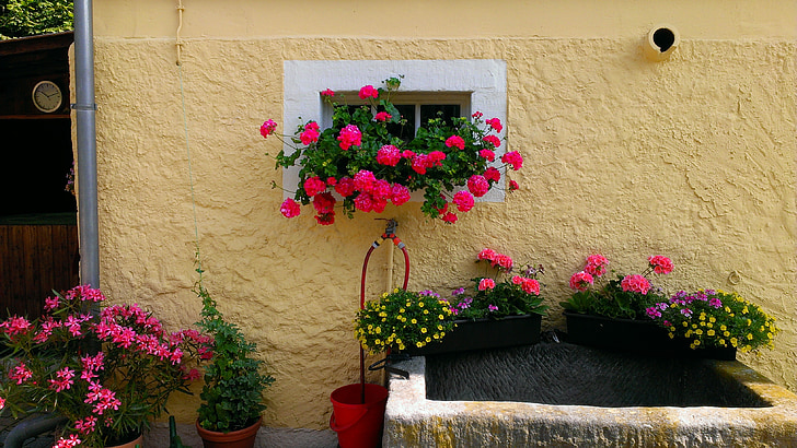 trough, floral decorations, farmhouse, flower, window, europe, house