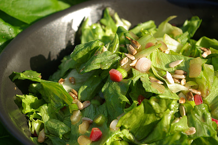 rabarber salade, salade, voedsel, cholesterol, rabarber, Yorks cholesterol-kookboek, gezonde