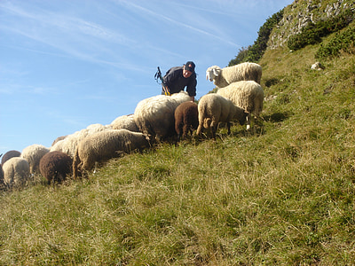 lambakari, Mountain lambad, lambad karjamaal