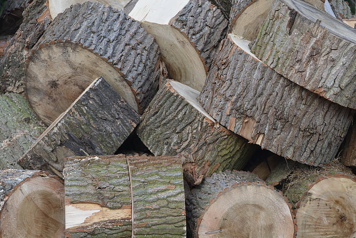 madeira, árvore, anéis de árvores