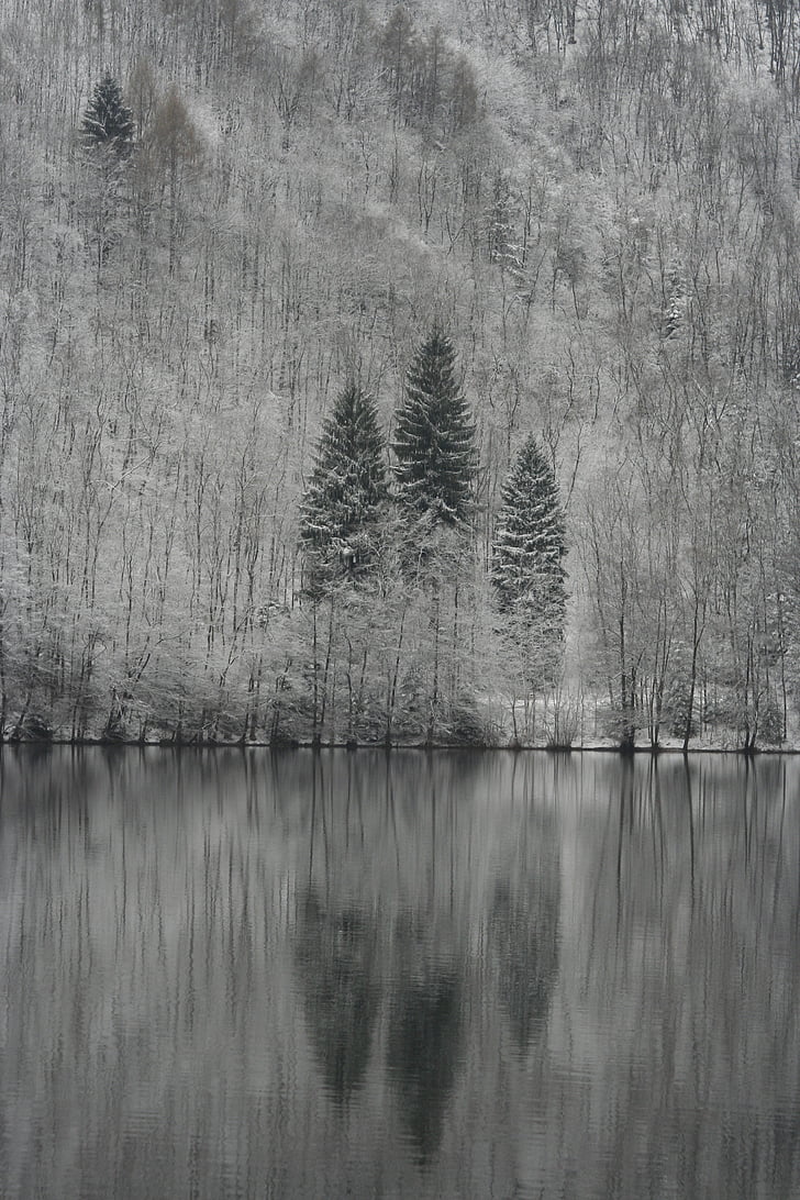 krajina, jezero, Hora, Příroda, reflexe, stromy, Zimní