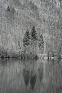 landskapet, Lake, fjell, natur, refleksjon, trær, Vinter