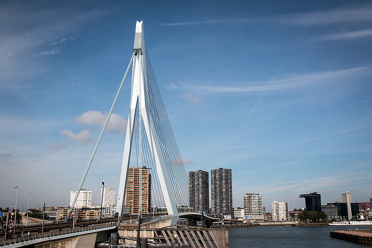 rotterdam, bridge, city, netherlands, erasmus bridge, architecture, built structure