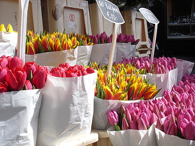 tulipany, kwiaty, Walentynki, wiosna, kwiatowy, zielony, biały