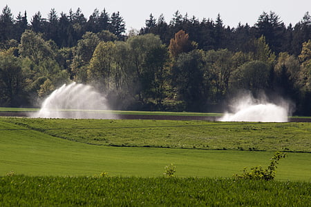 water, fields, blow up, irrigation, artificial, agriculture, field