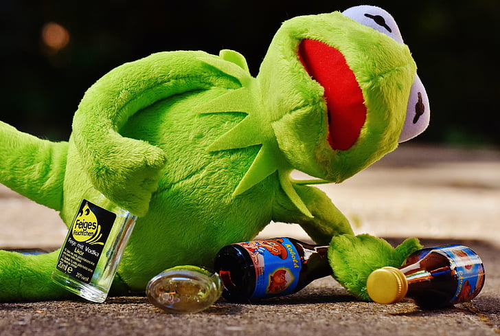 Kermit, grenouille, boisson, alcool, État d’ébriété, reste, s’asseoir