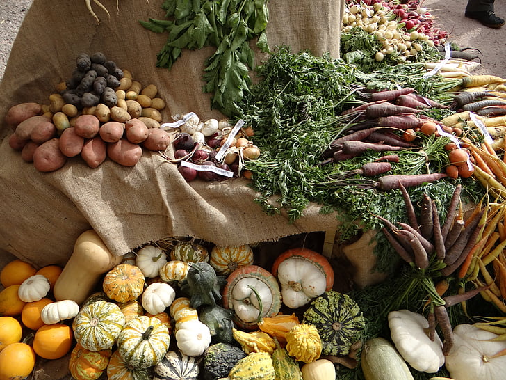 verdure, vecchie verdure, ed altri, mercato, mercato biologico, commercio, potenza