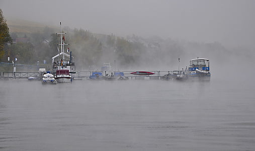 rhine, fog, ship, current, germany, mood, november