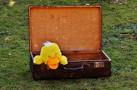 luggage, antique, duck, funny, curious, leather, old suitcase