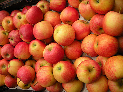 Greengrocer, frukt kasse, epler, frisk, rød, gul, søt