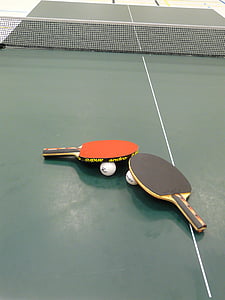 table tennis, ping-pong, bat, table tennis bat, sport, play