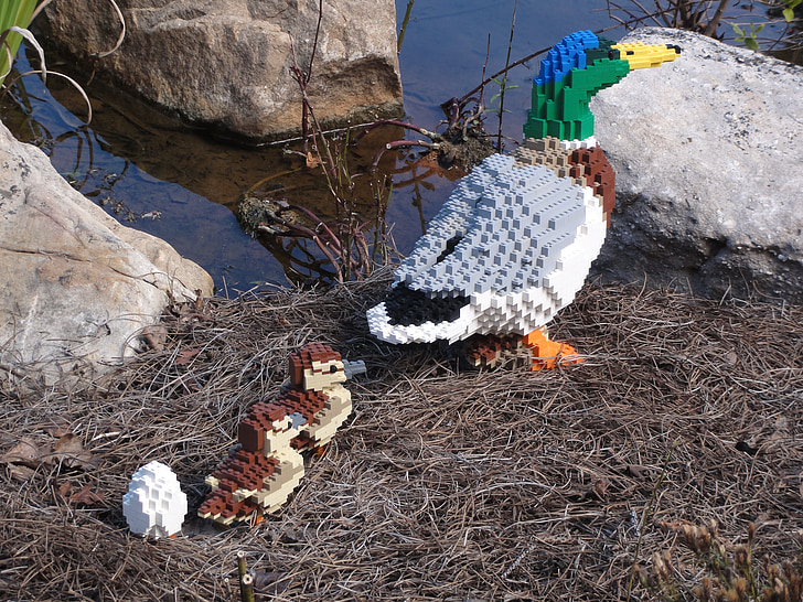 LEGO, утка, Природа, Legos, озеро, птица, Открытый