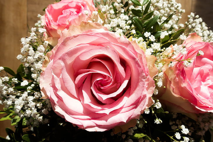 Rose, cvet, kompoziti, narave, rastlin, bela, pastellfarben