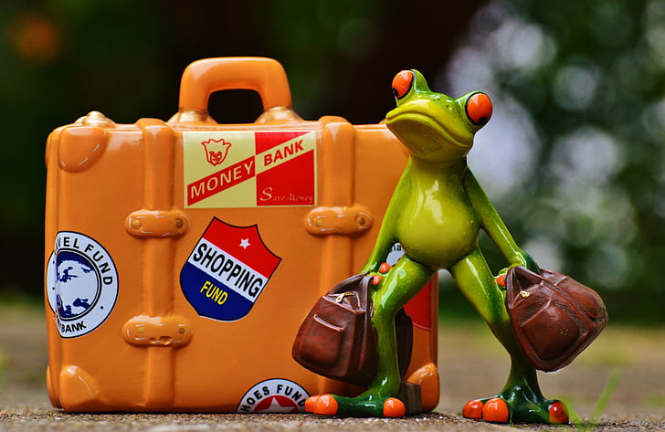 frog, travel, holiday, fun, funny, figure, go away