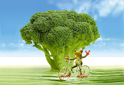 apetito praradimas, brokoliai, varlė, dviratis, juokingas, mielas, kalorijų