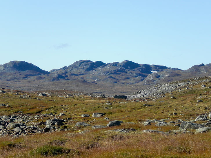 Norvegia, Hardangervidda, Scandinavia, paesaggio, natura, trekking, terreno incolto