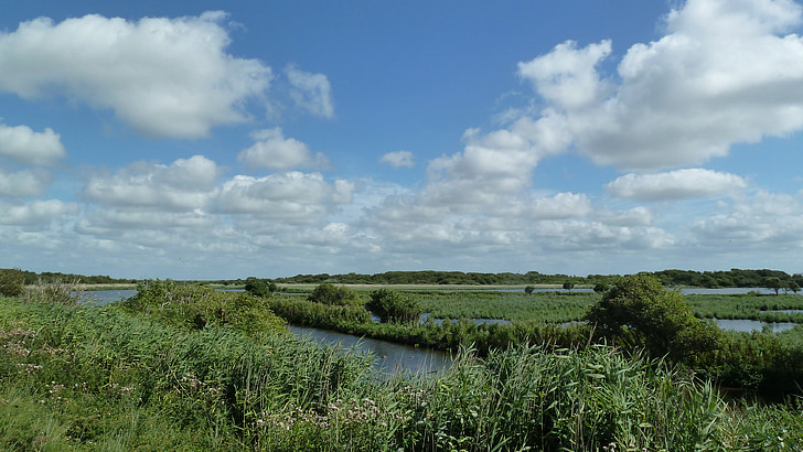 paisagem, natureza, planta, céu, nuvens, Norderney, azul