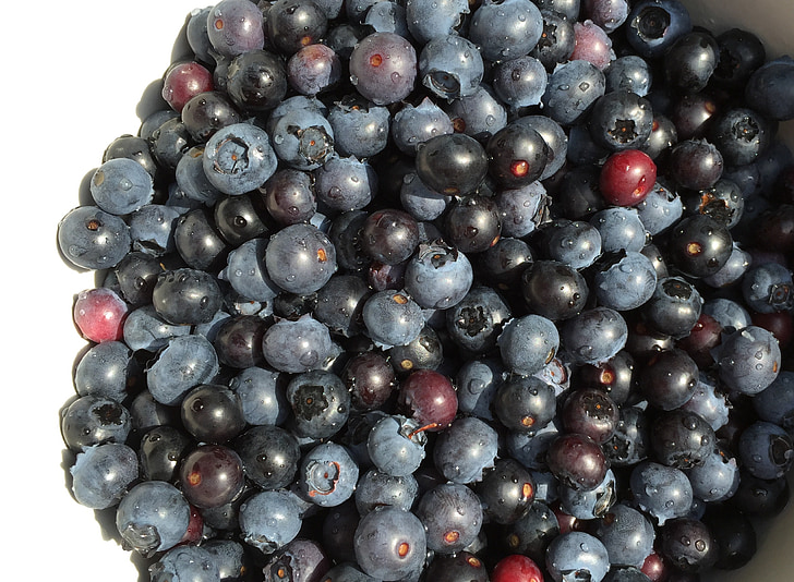 blueberries, berry, fruits, vitamins, delicious, fruit, nature