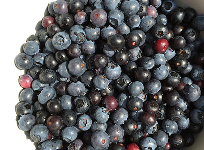 bleuets, Berry, fruits, vitamines, délicieux, fruits, nature