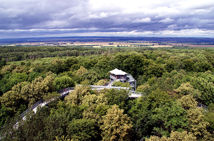 Treetop sti, Thüringen Tyskland, Treetop, træer, skov, observation tower, platform