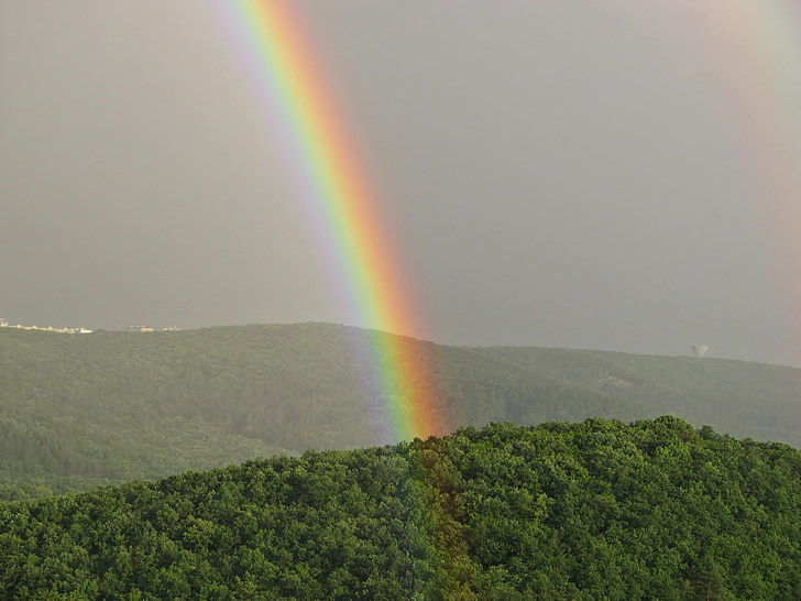 rainbow, sky, wood, forest, hills, landscape, outdoor