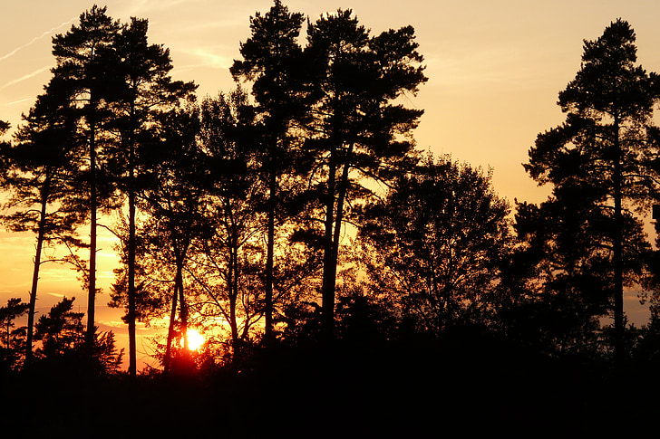 Afterglow, träd, Sky, solnedgång, kvällshimmel
