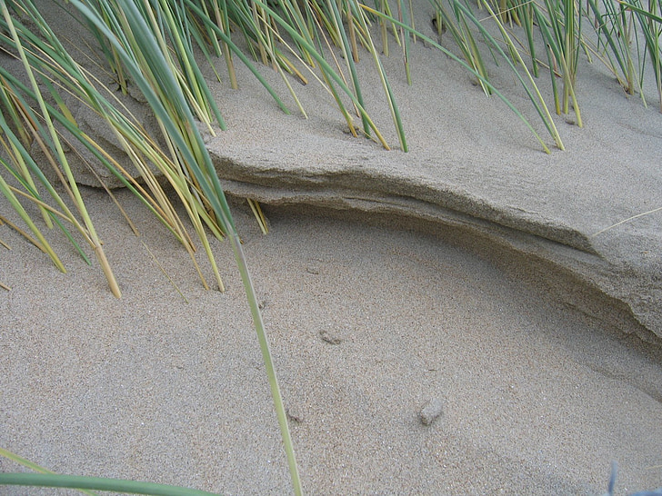 Sand, sand beach, utdrag av stranden