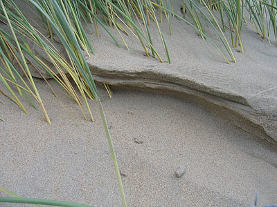 sand, sandstrand, uddrag af stranden