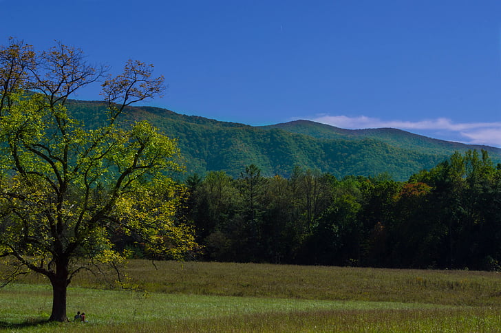 mountains, landscape, nature, outdoor, park, scenery, scenic