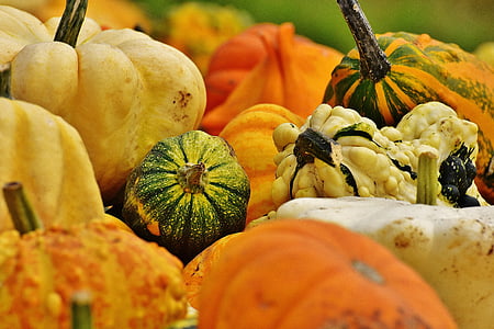 citrouilles, automne, décoration automne, moisson, courges décoratives, décoration, orange