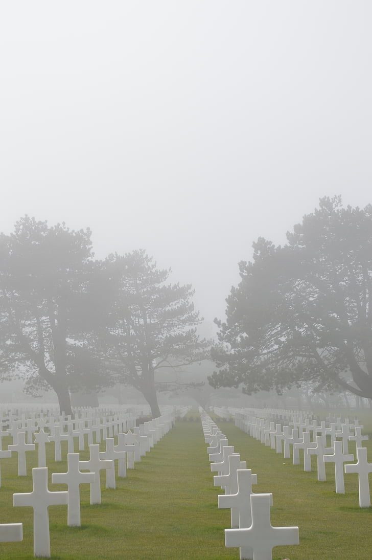 hautausmaa, American cemetery, lasku, sotilas, sotilaat, kunnianosoitus, Normandy