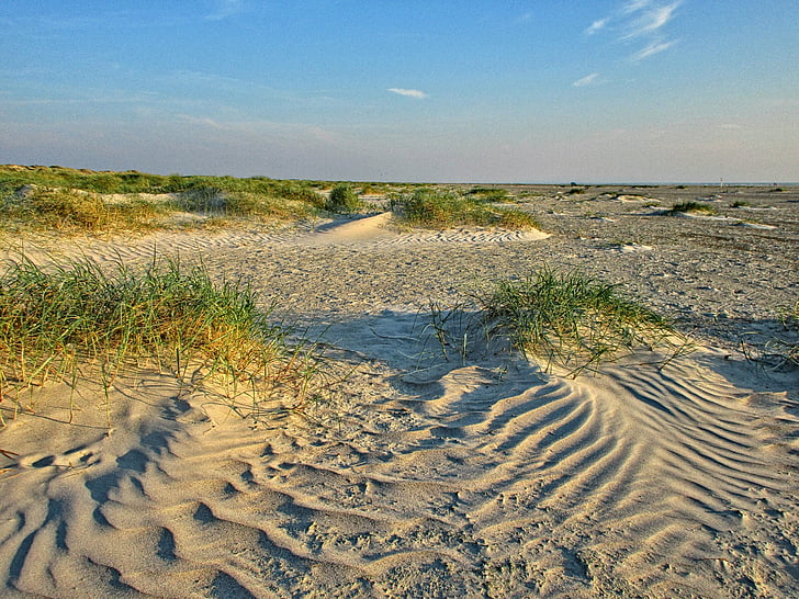 dune, plage, mer du Nord, nature, sable, paysage, à l’extérieur