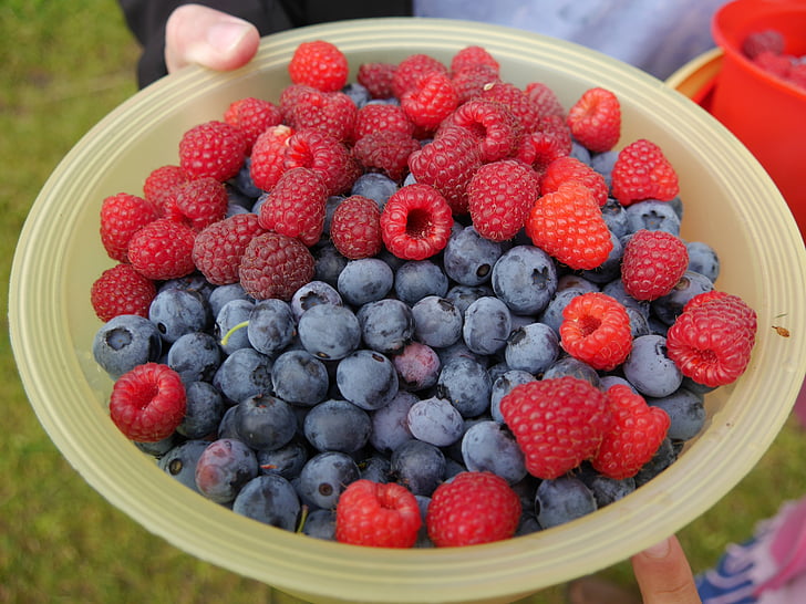 berries, fruits, fruit