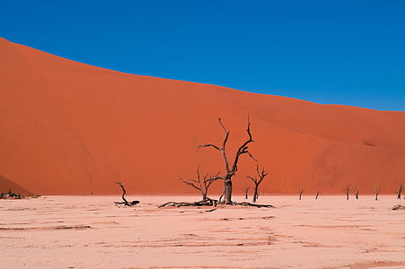 乾燥, 不毛の地, 砂漠, 干ばつ, 乾燥, ホット, 風景