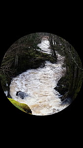 nad rzeką Cisa, wody, powodzi wiosna, lasu, runda, efekt zdjęcie, Brook