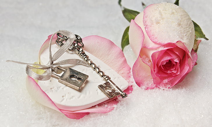 srce, ključ, ruža, herzchen, ljubav, romansa, simbol