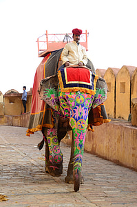 Palatul chihlimbar, India, elefant, mamifer, elefanţi, turisti, tradiţionale