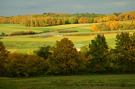 rudens, zelta oktobris, zelta rudens, rudens meža, parādīties, ainava, rudens noskaņu
